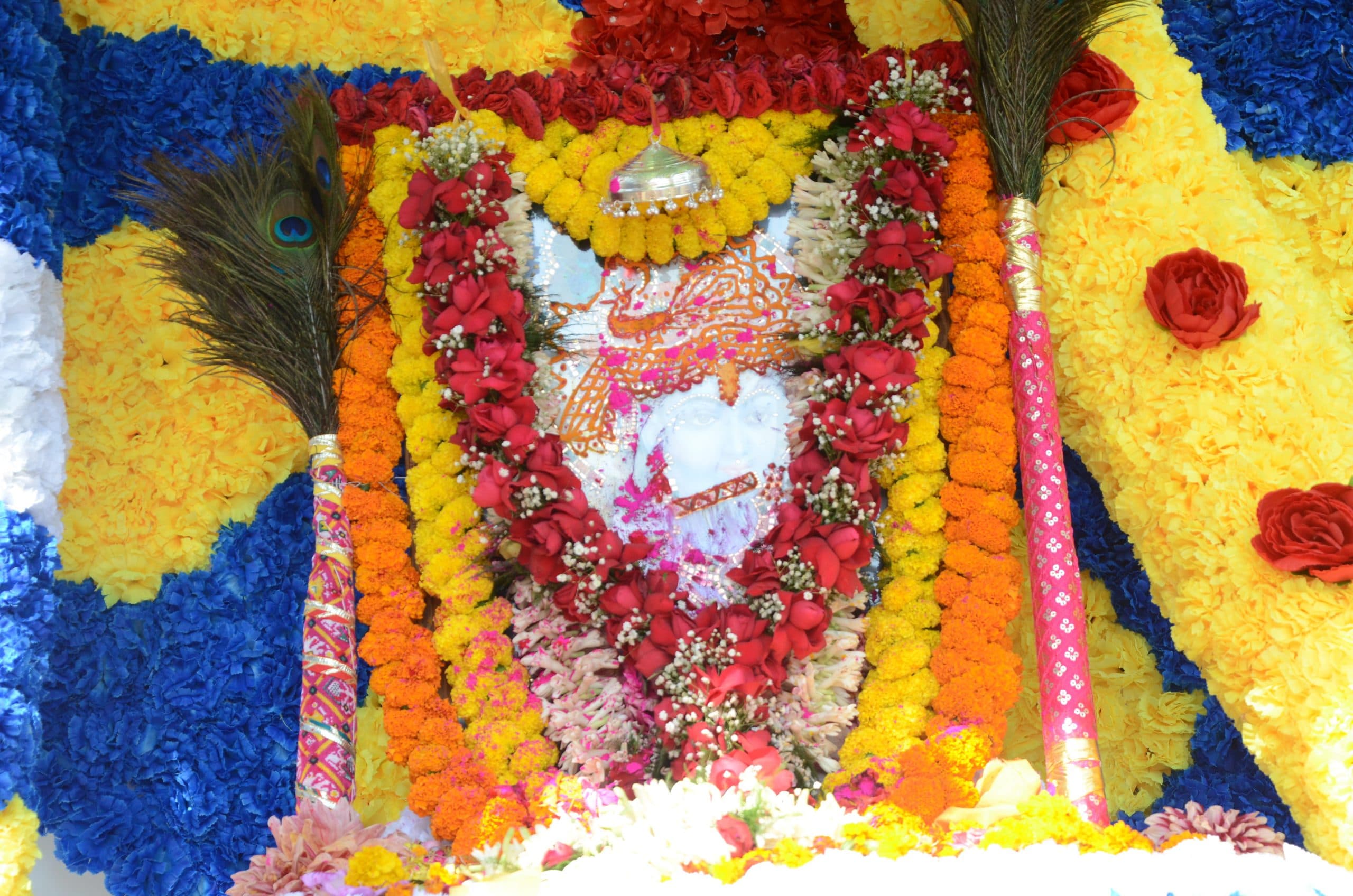 deoghar news : श्री श्याम की शोभायात्रा में रंगों की बयार, निशान लेकर चले भक्त