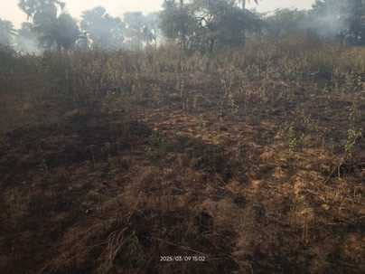 पांच एकड़ में लगे अरहर की फसल में लगी आग, हजारों का नुकसान