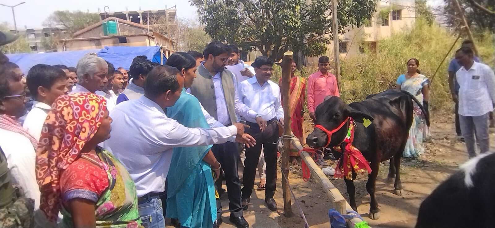 सब्सिडी में मवेशी लेकर आत्मनिर्भर बन सकते हैं किसान : डीसी