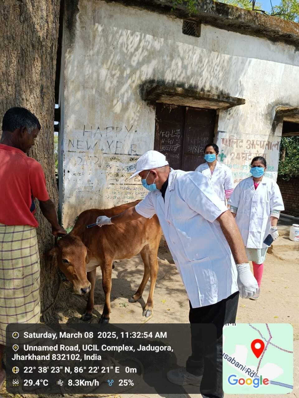 East Singhbhum News : दिगड़ी गांव में अबतक अज्ञात बीमारी से 20 पशुओं की मौत, डॉक्टरों की टीम ने 150 पशुओं का वैक्सीनेशन किया