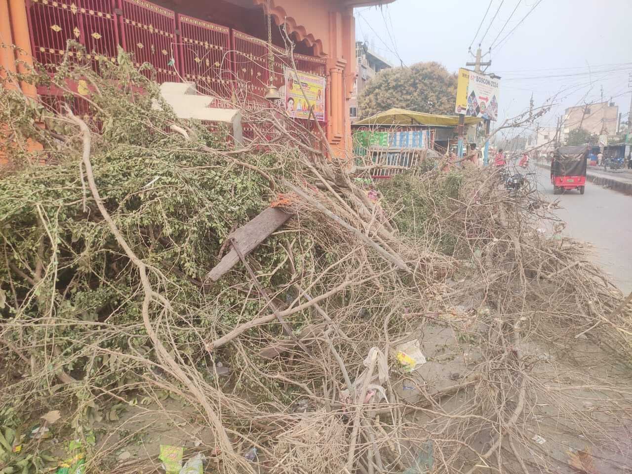 Darbhanga News: चौक-चौराहों पर जमा होने लगे अगजा के ढेर, कल रात जलेगी होलिका