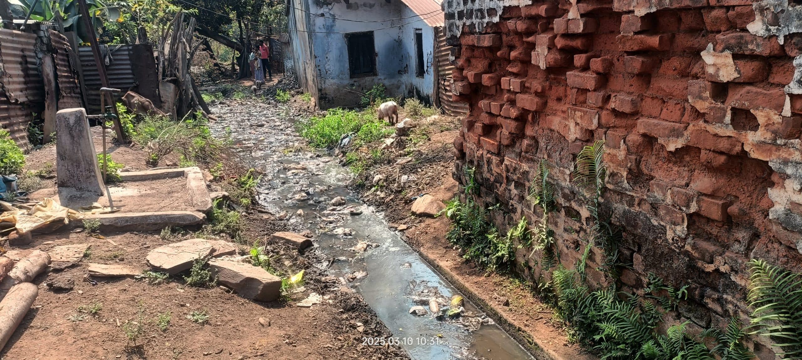 West Singhbhum News : चिरिया टाउनशिप में सफाई के अभाव में नालियां जाम, जीना मुहाल