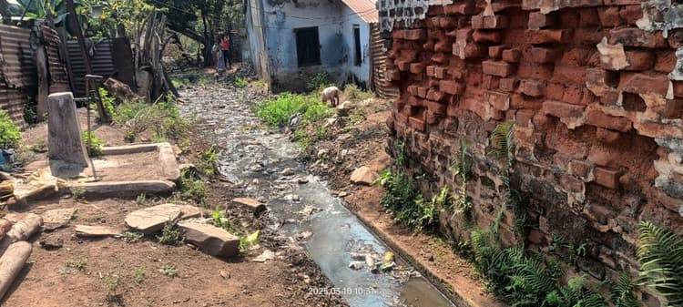 West Singhbhum News : चिरिया टाउनशिप में सफाई के अभाव में नालियां जाम, जीना मुहाल