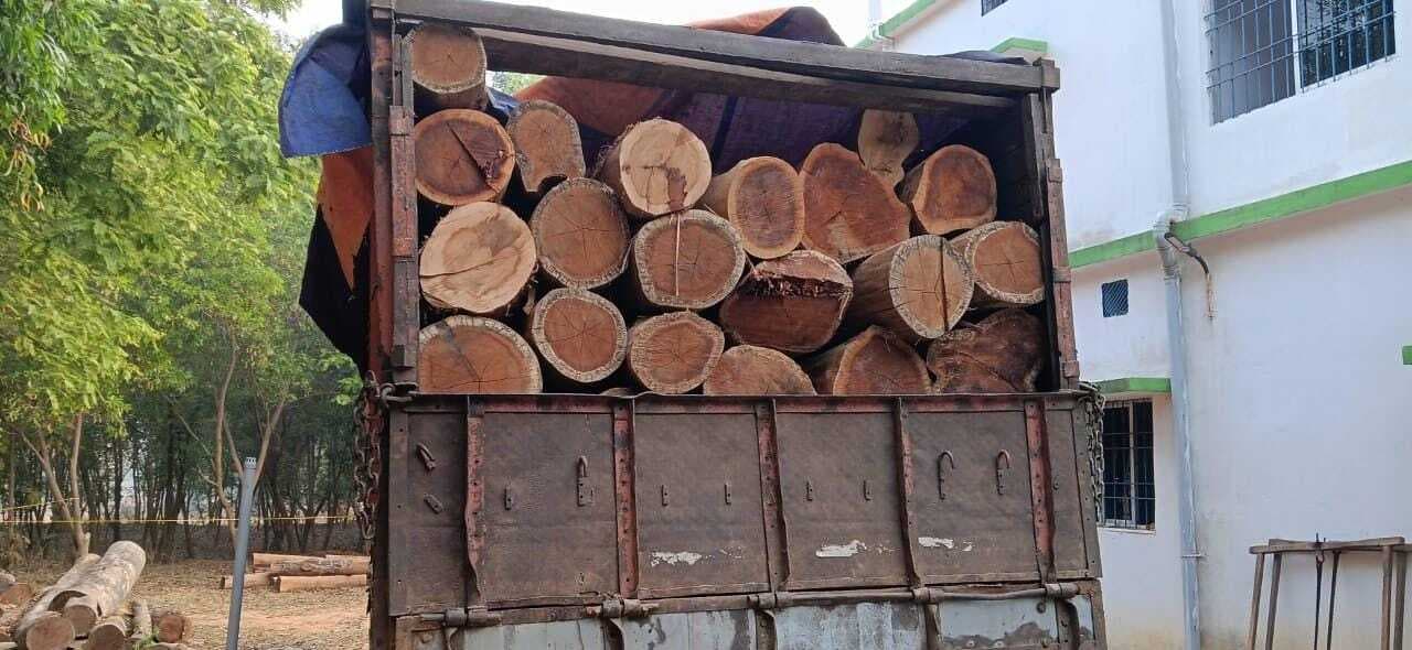 West Singhbhum News : वन विभाग ने किया 100 पीस साल बोटा लदा ट्रक जब्त