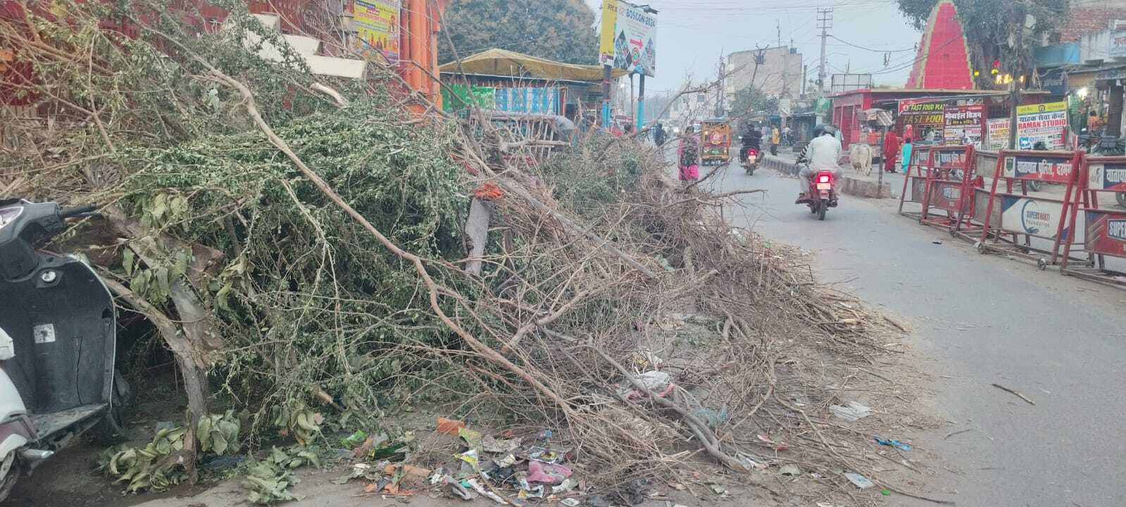 Darbhanga News: आज रात जलेगी होलिका, रंगों का त्योहार होली 15 को आज रात जलेगी होलिका, रंगों का त्योहार 15 को