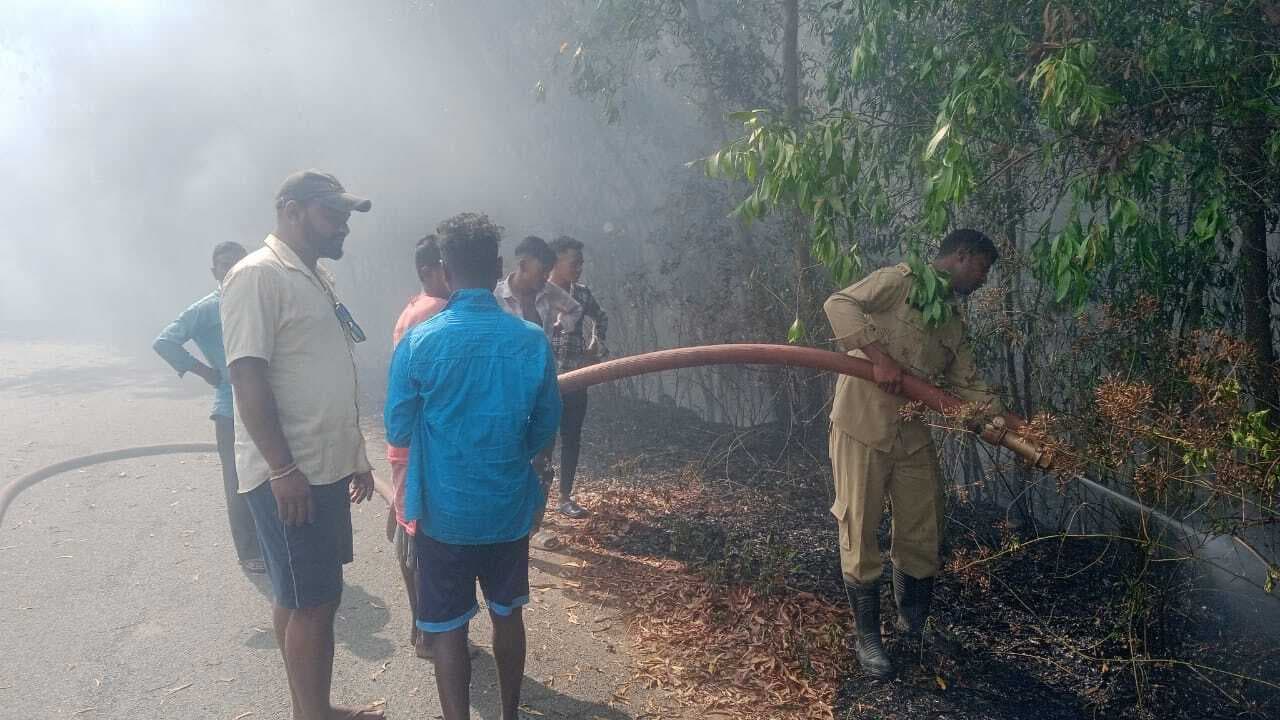 East Singhbhum News : धालभूमगढ़ के पोटाश जंगल में लगी आग, जंगली खरगोश समेत सैकड़ों पौधे खाक