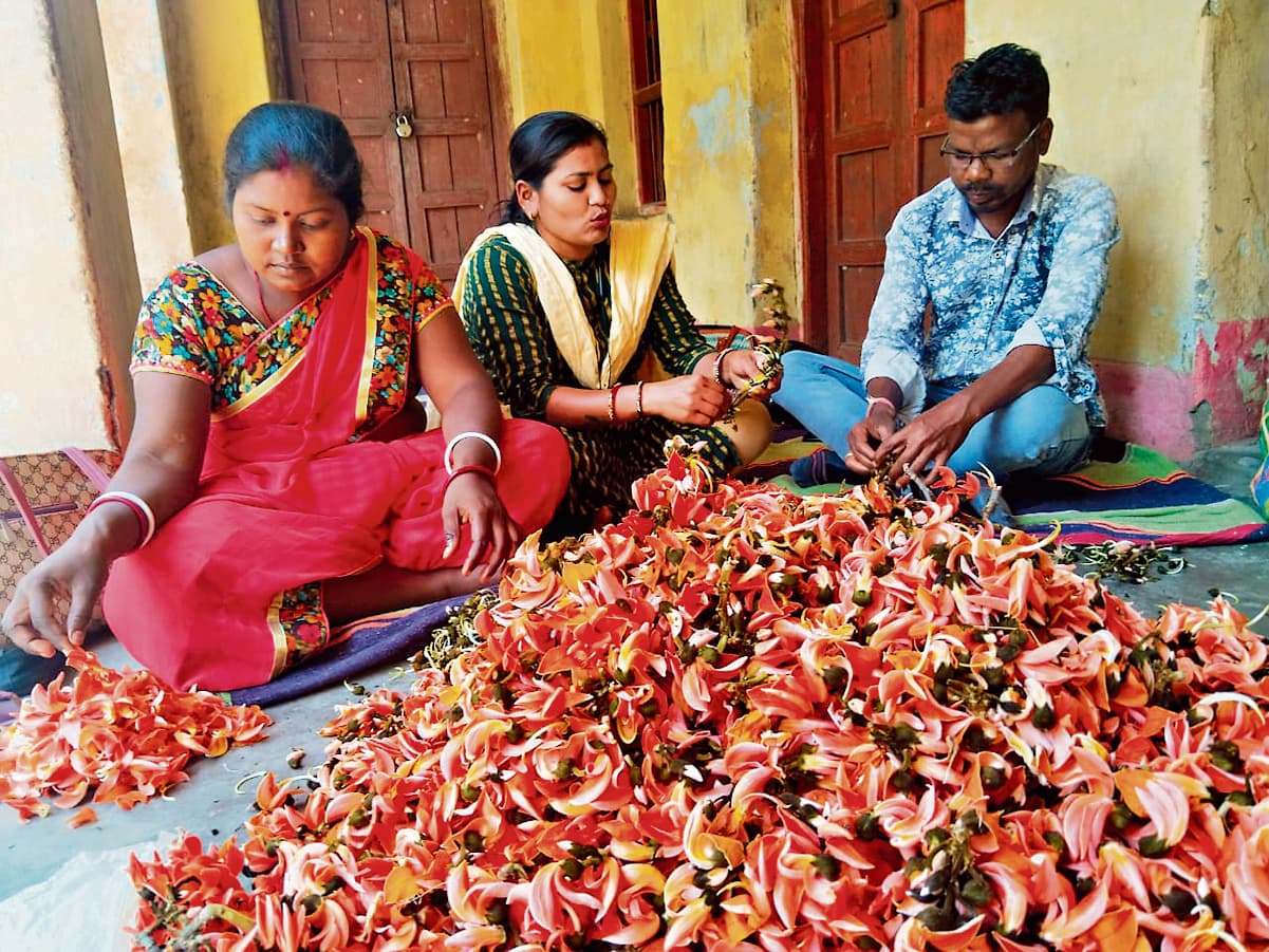 seraikela kharsawan news: महिलाएं बना रहीं हर्बल गुलाल, बन रहीं आत्मनिर्भर