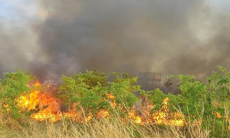 Dhanbad News : बरवाअड्डा हवाइ अड्डा की झाड़ियों में लगी आग