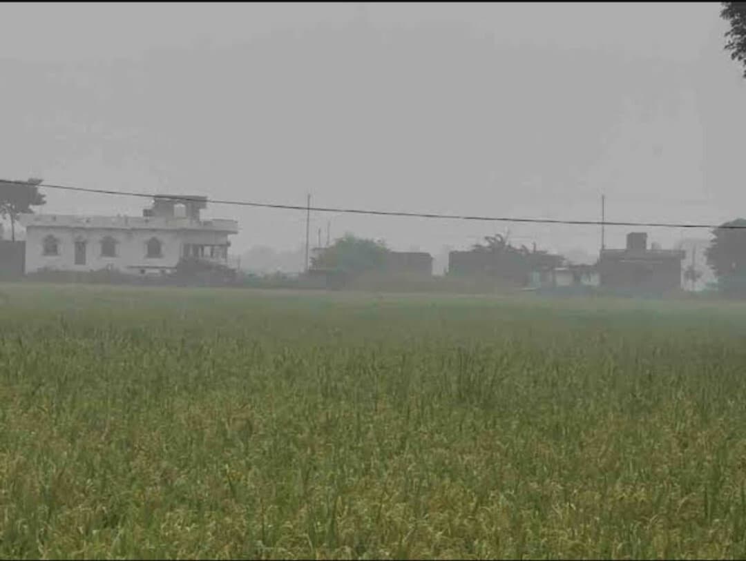 मौसम में बदलाव, सुबह में हुई बूंदाबांदी से किसान चिह्नित