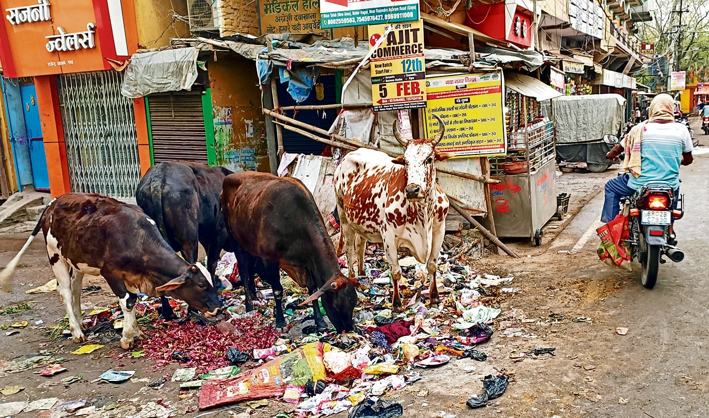 शहर में नहीं हो सकता संपूर्ण कचरा उठाव