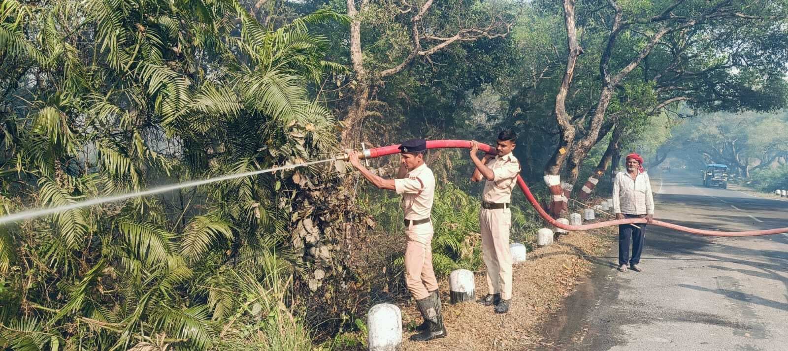 वीटीआर में लगी आग, करीब 50 हेक्टेयर जंगल जलकर राख