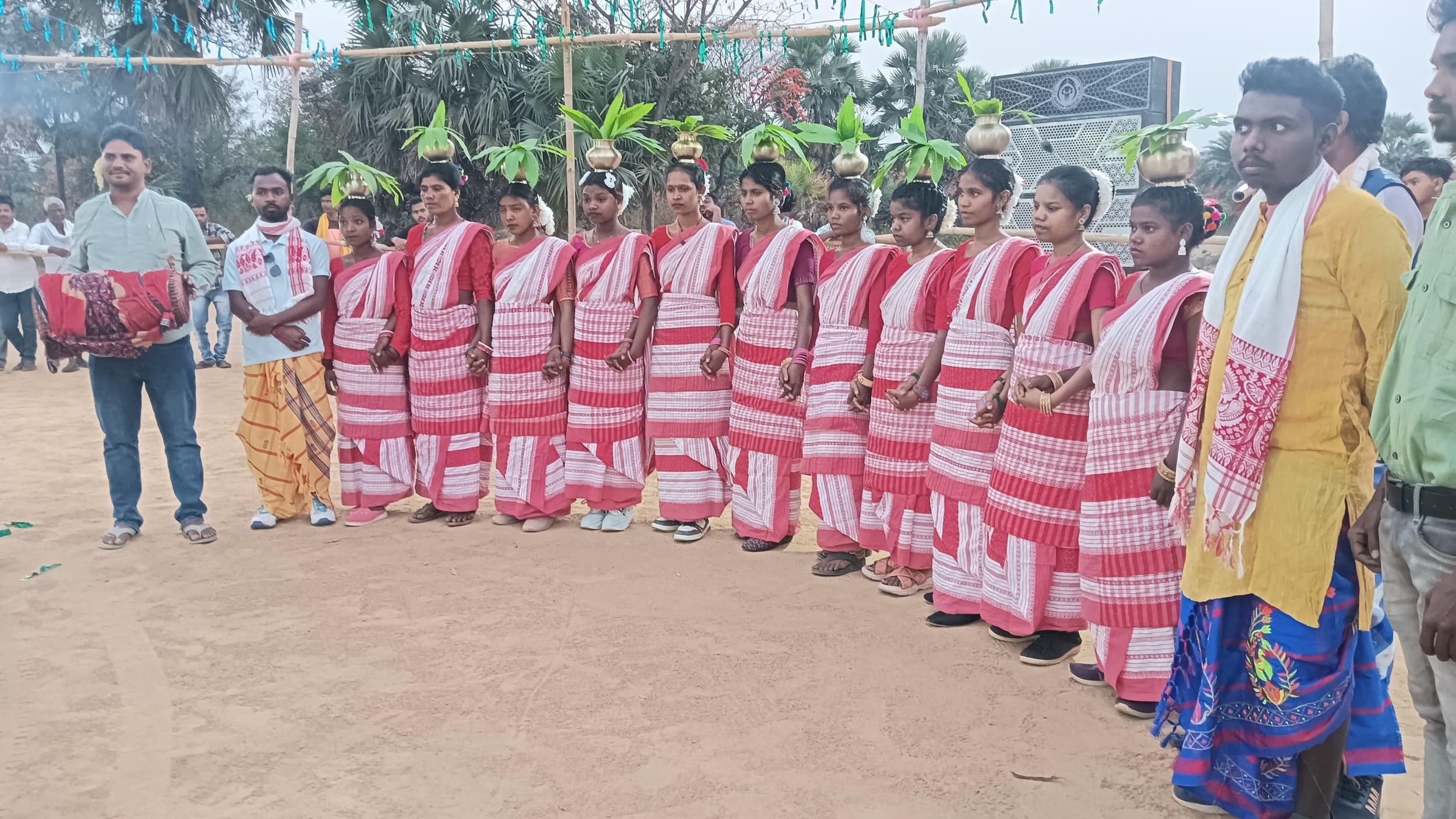 Bokaro News : आदिवासी समुदाय ने मनाया बाहा पर्व, मांदर की थाप पर थिरके लोग