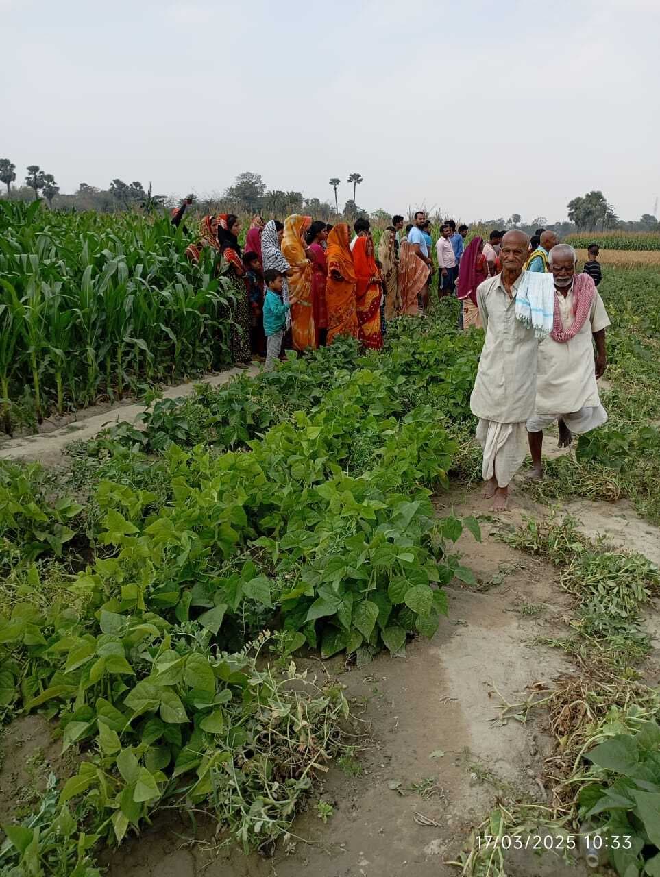 Samastipur News:उजियारपुर में महिला की चाकू से गोदकर हत्या, लाश मक्का खेत में फेंका