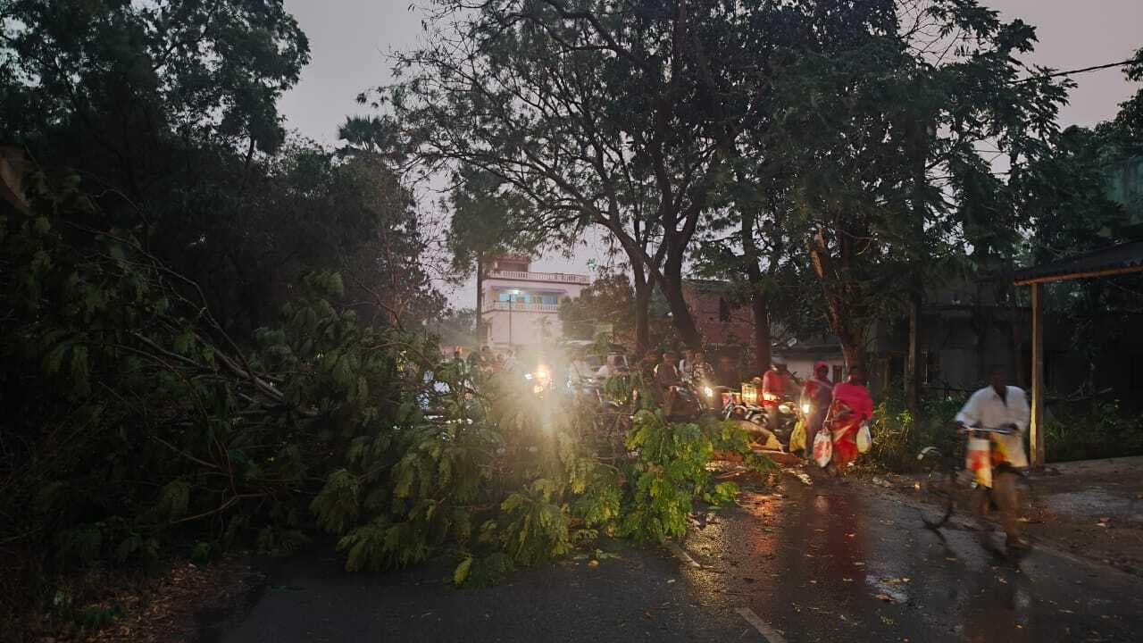 East Singhbhum News : गालूडीह में ओलावृष्टि संग आंधी-बारिश से आठ पंचायतों में ब्लैकआउट, तरबूज, टमाटर समेत कई सब्जियों को नुकसान, किसान हताश