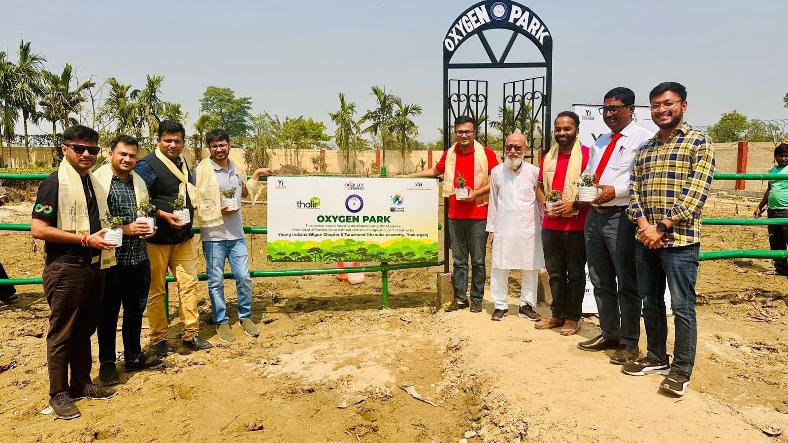 ताराचंद धानुका एकेडमी विद्यालय परिसर में मियावाकी पद्धति से लगाये गये पौधे