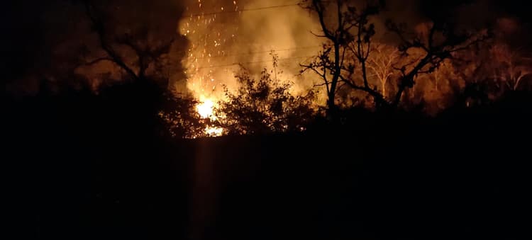 Bokaro News : बोकारो के जंगलों में एक माह में 150 से अधिक बार लगी आग