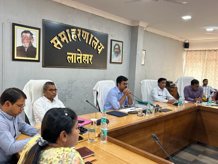 लंबित योजनाओं का शीघ्र करें निष्पादन: डीसी