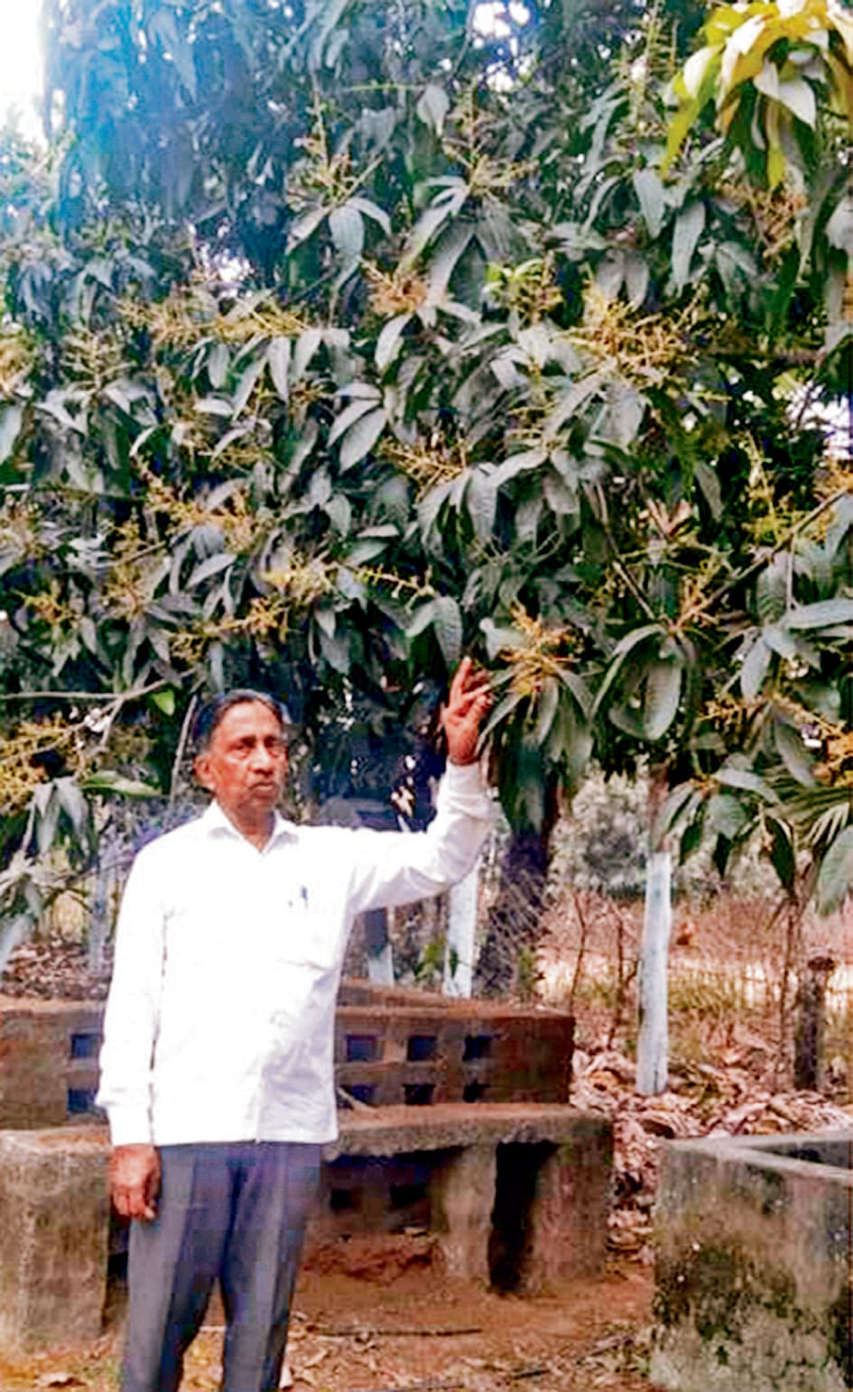 किसानों के लिए मौसम हुआ बेदर्दी