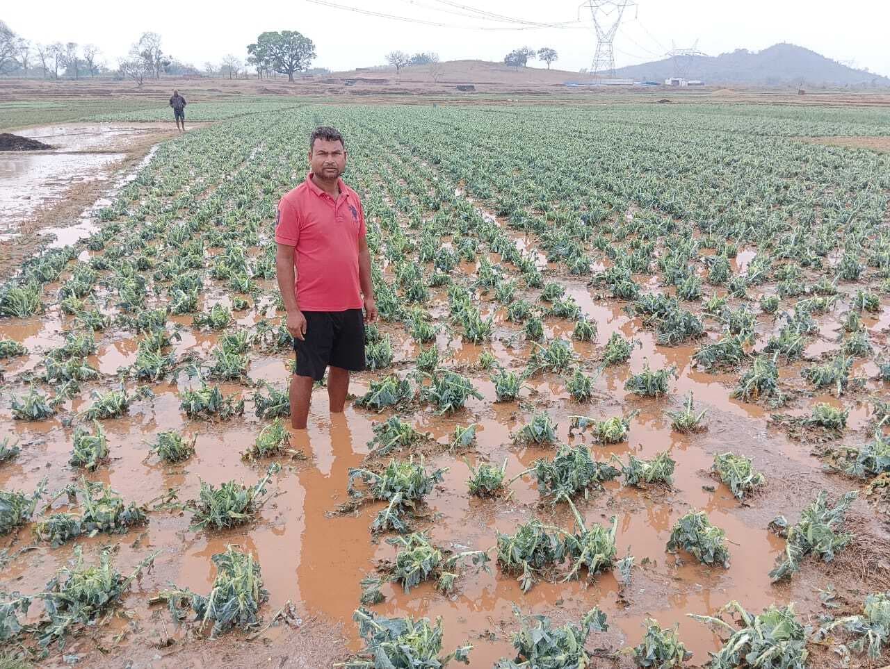 प्रखंड में आंधी, बारिश व ओलावृष्टि से नुकसान