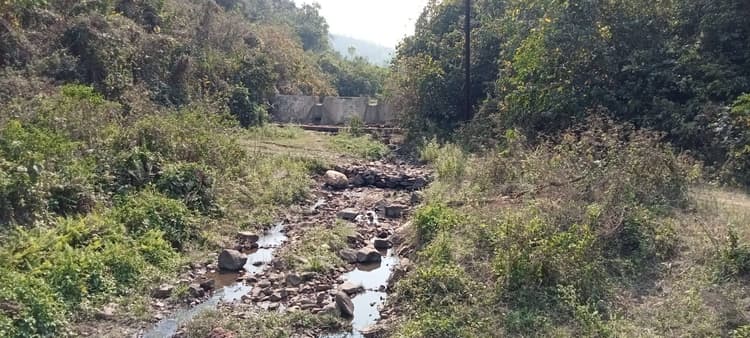 East Singhbhum News : पटमदा और बोड़ाम के नदी-नाले व तालाब सूखे, किसान चिंतित