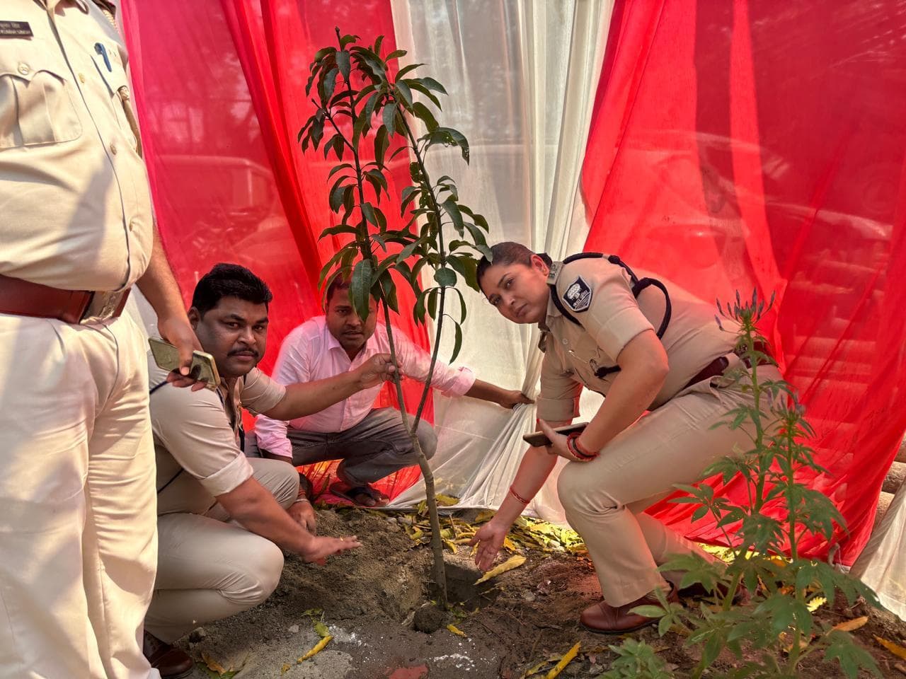 बिहार दिवस पर थाना परिसर में किया गया पौधारोपण