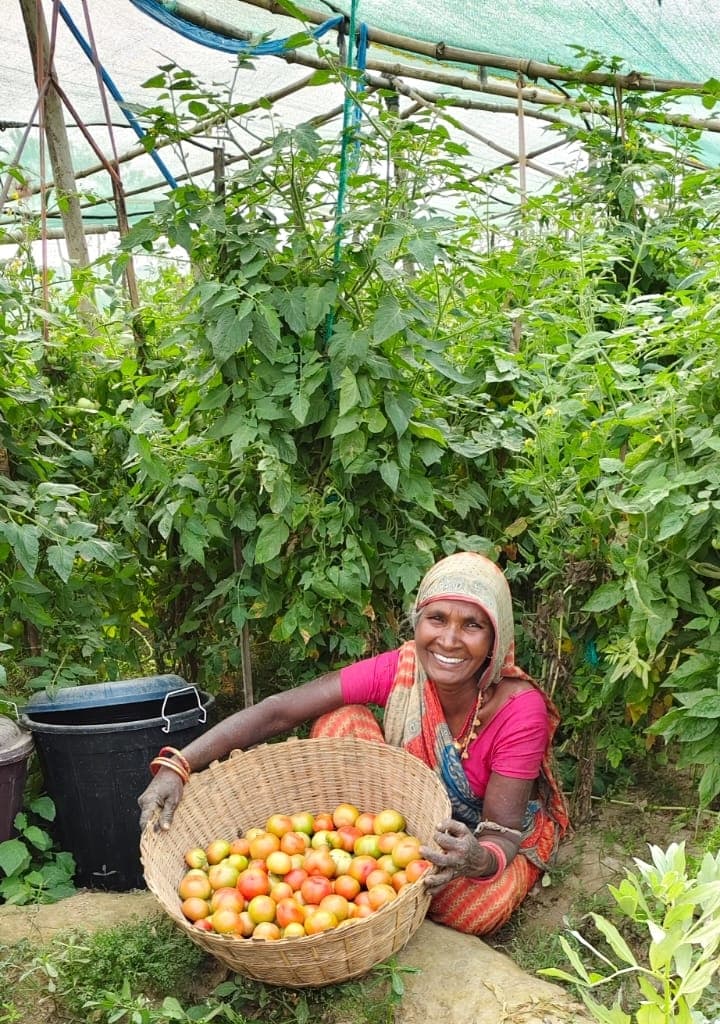 Madhubani News : खेती कर सुदृढ़ हो रहीं महिलाएं
