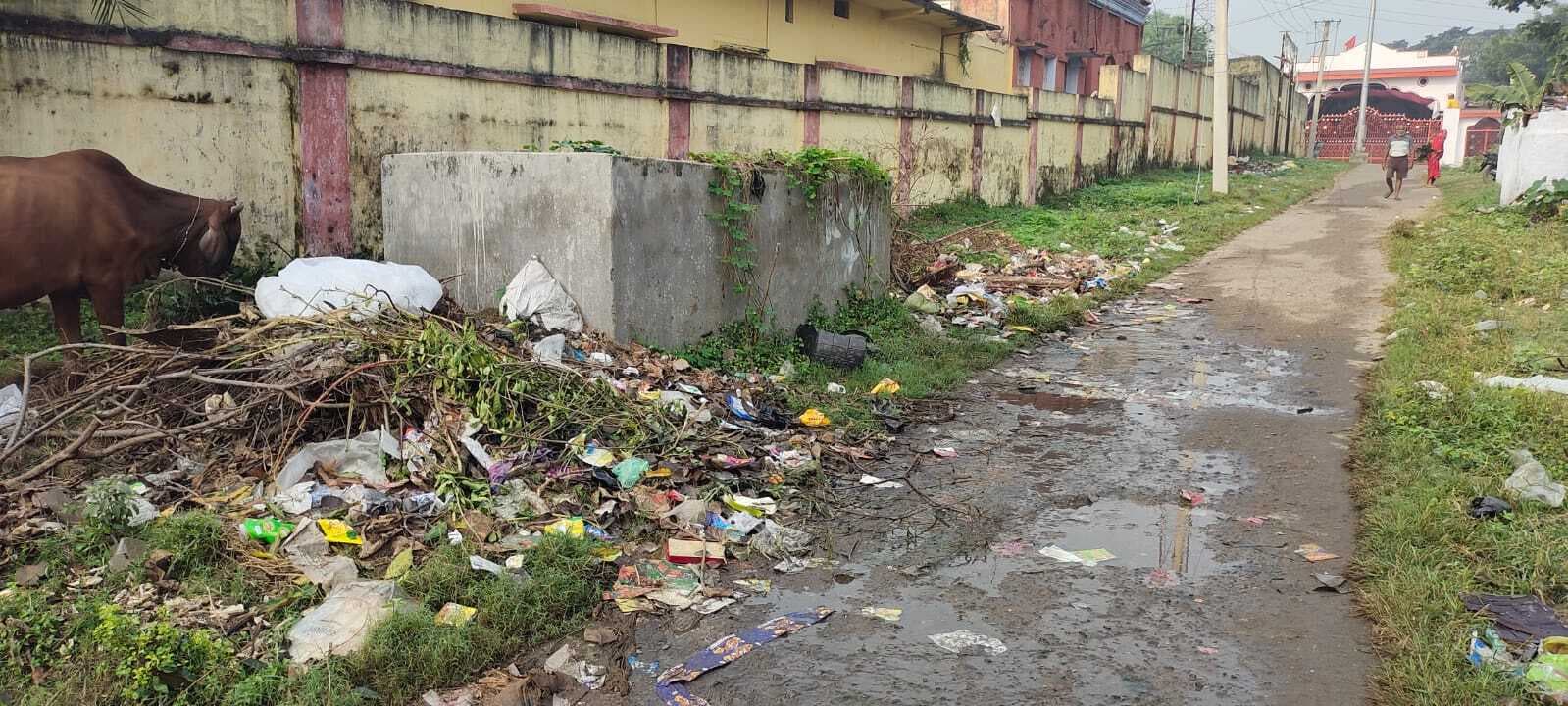 Giridih News :कोयलांचल के कई मोहल्लों सड़कों का हाल बदहाल