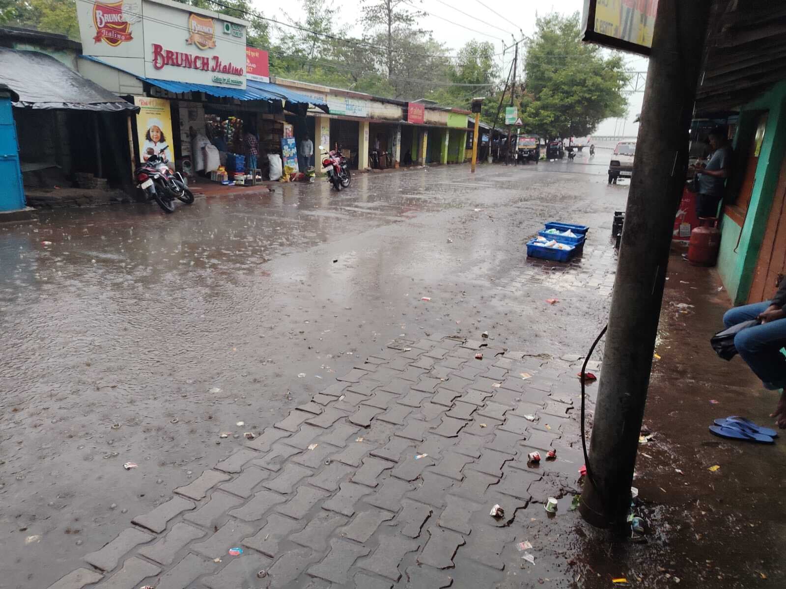 East Singhbhum News : घाटशिला में पांच दिनों में 57.7 मिमी बारिश, आंधी में आम के मंजर को नुकसान