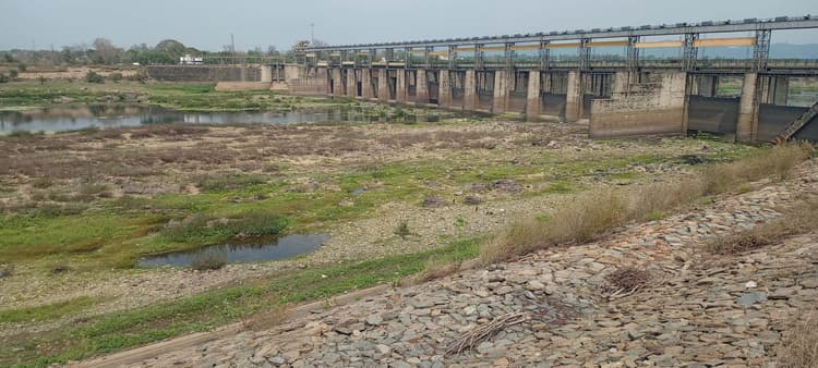 East Singhbhum News : सुवर्णरेखा की स्थिति ने बजायी खतरे की घंटी, नहीं चेते, तो बूंद-बूंद पानी को तरसेंगे