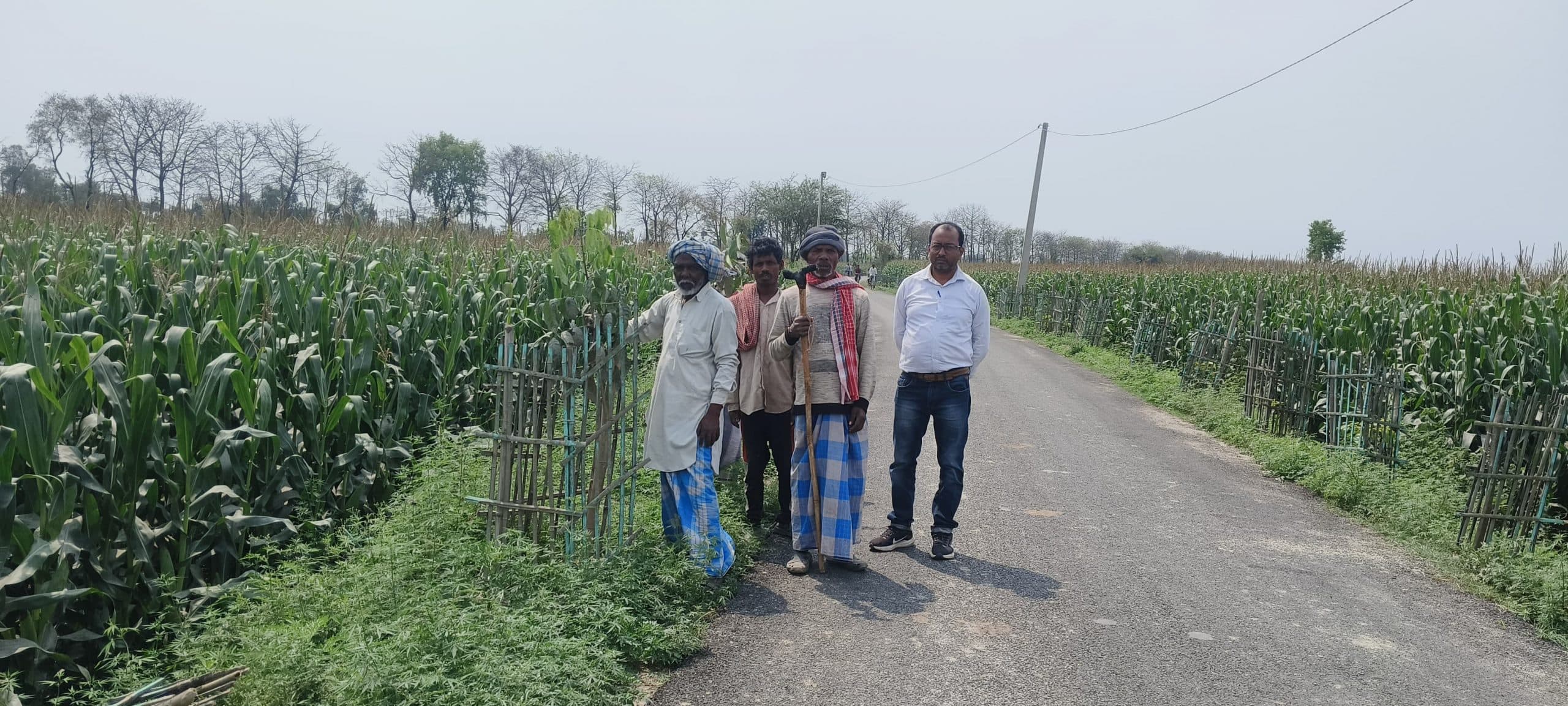 घटवार टोला सड़क किनारे लगे 400 पौधों को काट किया नष्ट