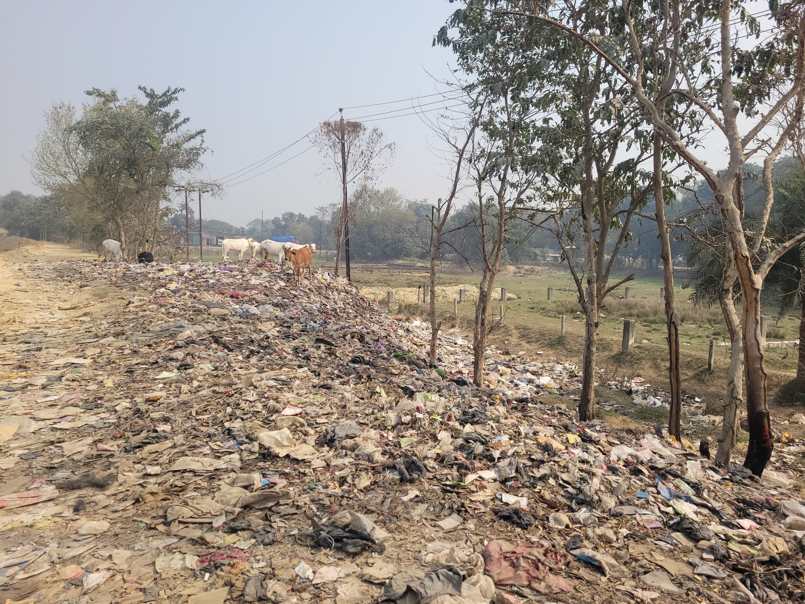 कचरा डंप करने से सुख रहे पेड़, जवाबदेह बने लापरवाह