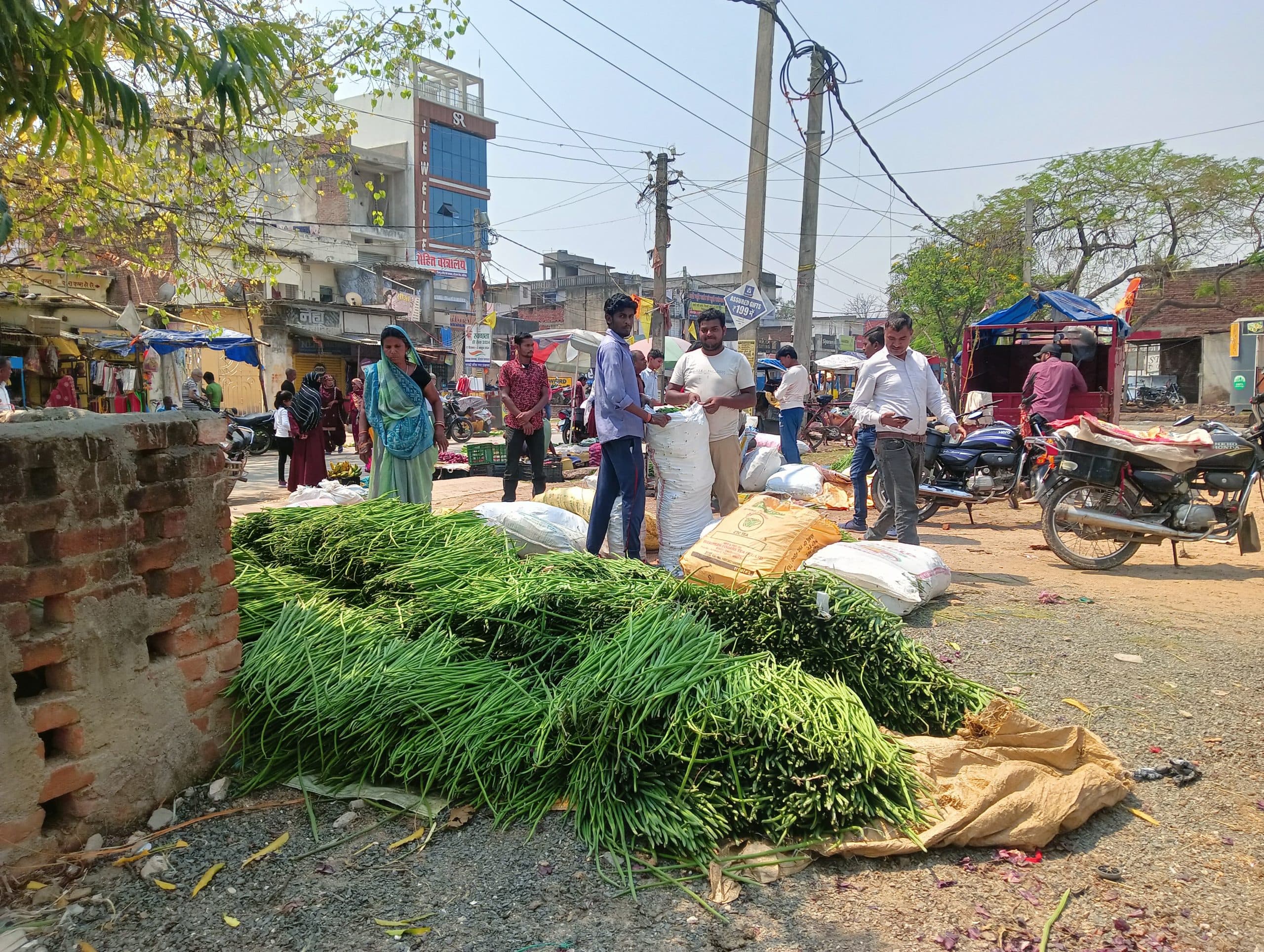 Giridih News :सहजन की फली से पटा सब्जी मंडी सरिया