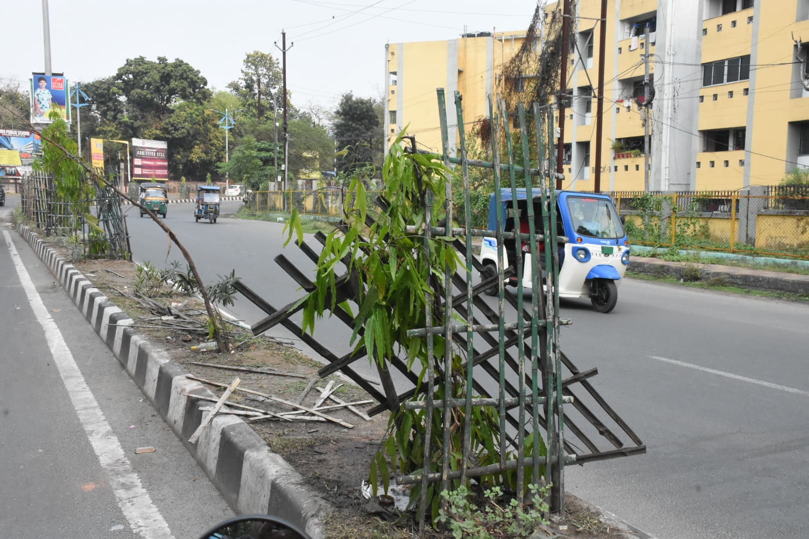 Dhanbad News: छह करोड़ में लगाये गये 22,405 पौधे कुछ सूख गये, कुछ के टूट गये गैबियन