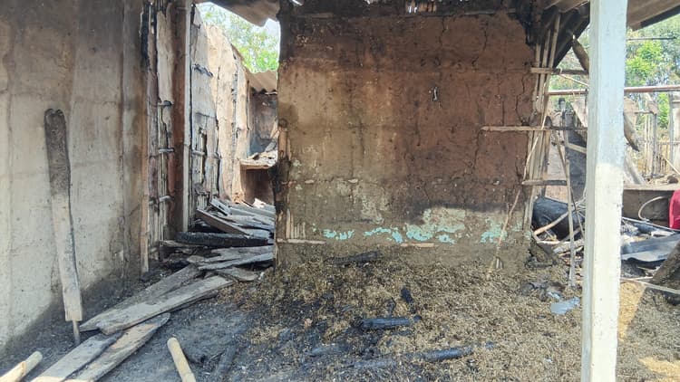घर में आग लगने से दो पशुओं की मौत, हजारों की क्षति