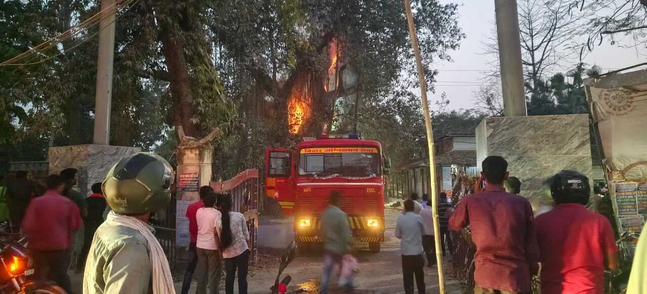 नगर थाना परिसर में बरगद व पिपल के हरे पेड़ में लगी आग