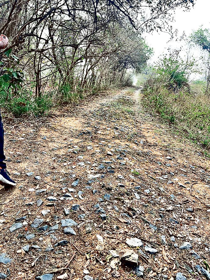 Dhanbad News: कालीपुर : बीमारों को खाट पर लाद कर ले जाना पड़ता है अस्पताल