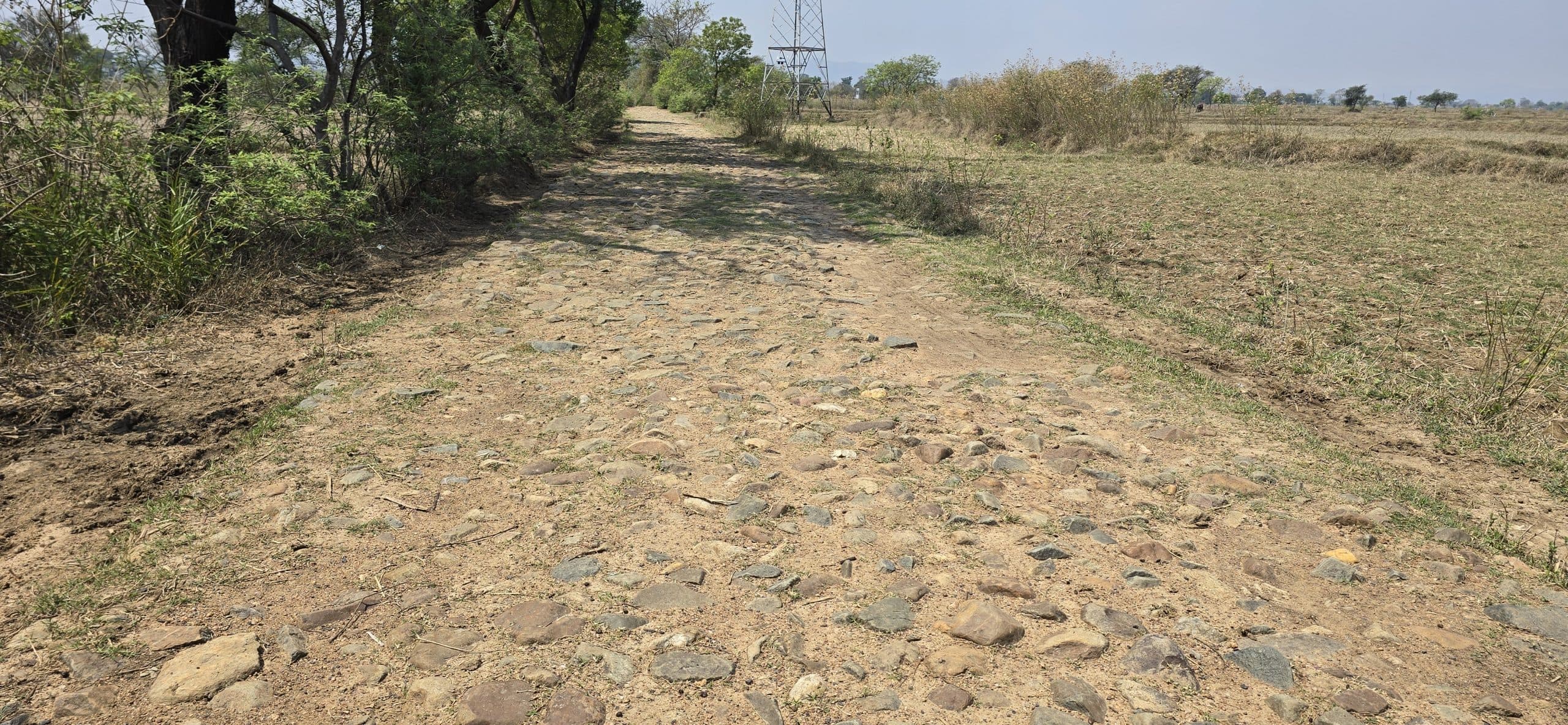 West Singbhum News :आठ गांवों को जोड़ने वाली सड़क बदहाल