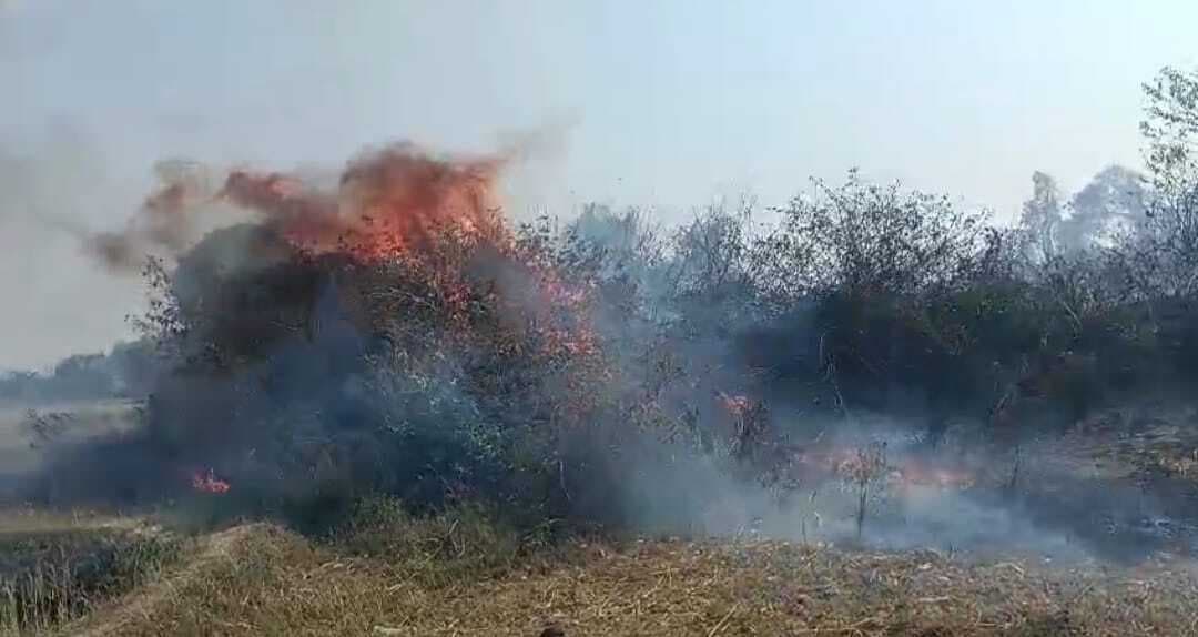 बहियार स्थित झाड़ी में लगी आग, अफरा-तफरी