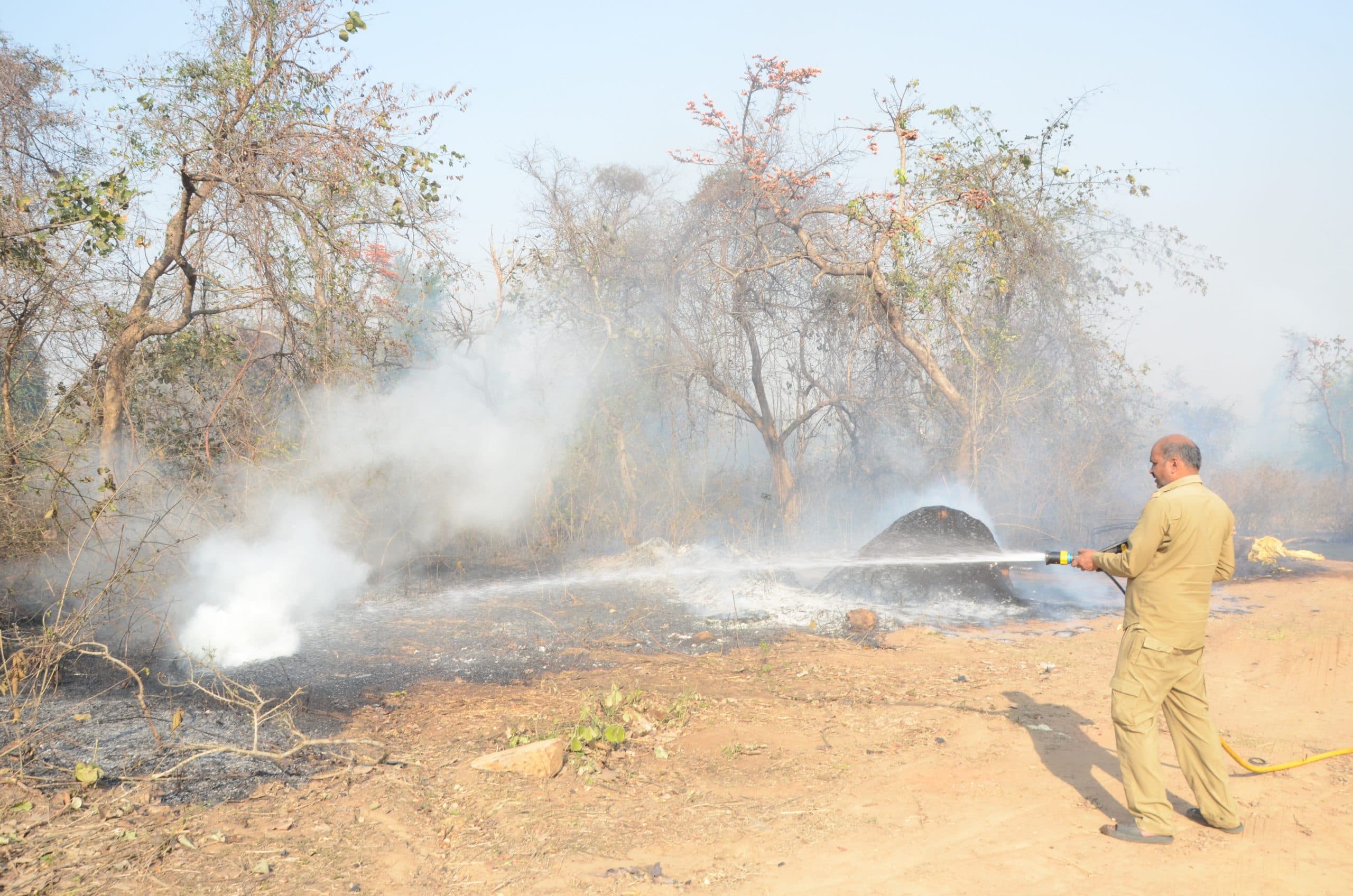 झाड़ियों में लगी आग ने लकड़ी मिल को लिया चपेट में, 35 लाख से अधिक की क्षति का दावा