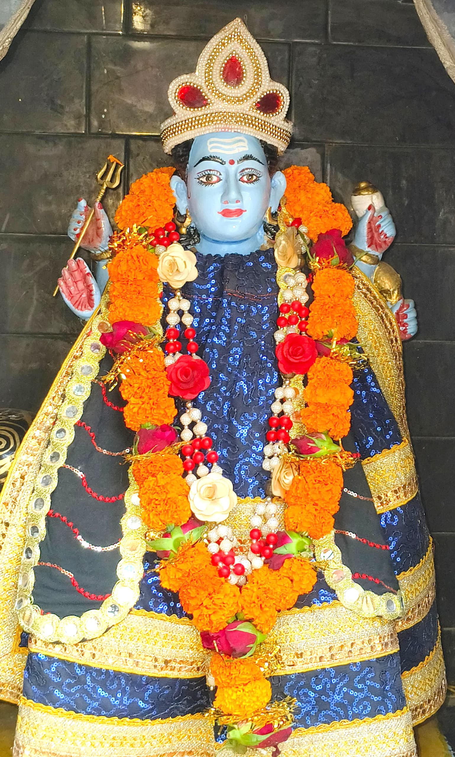 शनि जयंती आज, तैयारी को लेकर भक्तों में उत्साह