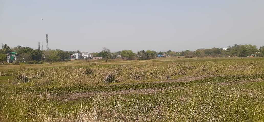 East Singbhum News : पावड़ा तालाब: कभी जीवनरेखा, आज उपेक्षा का शिकार