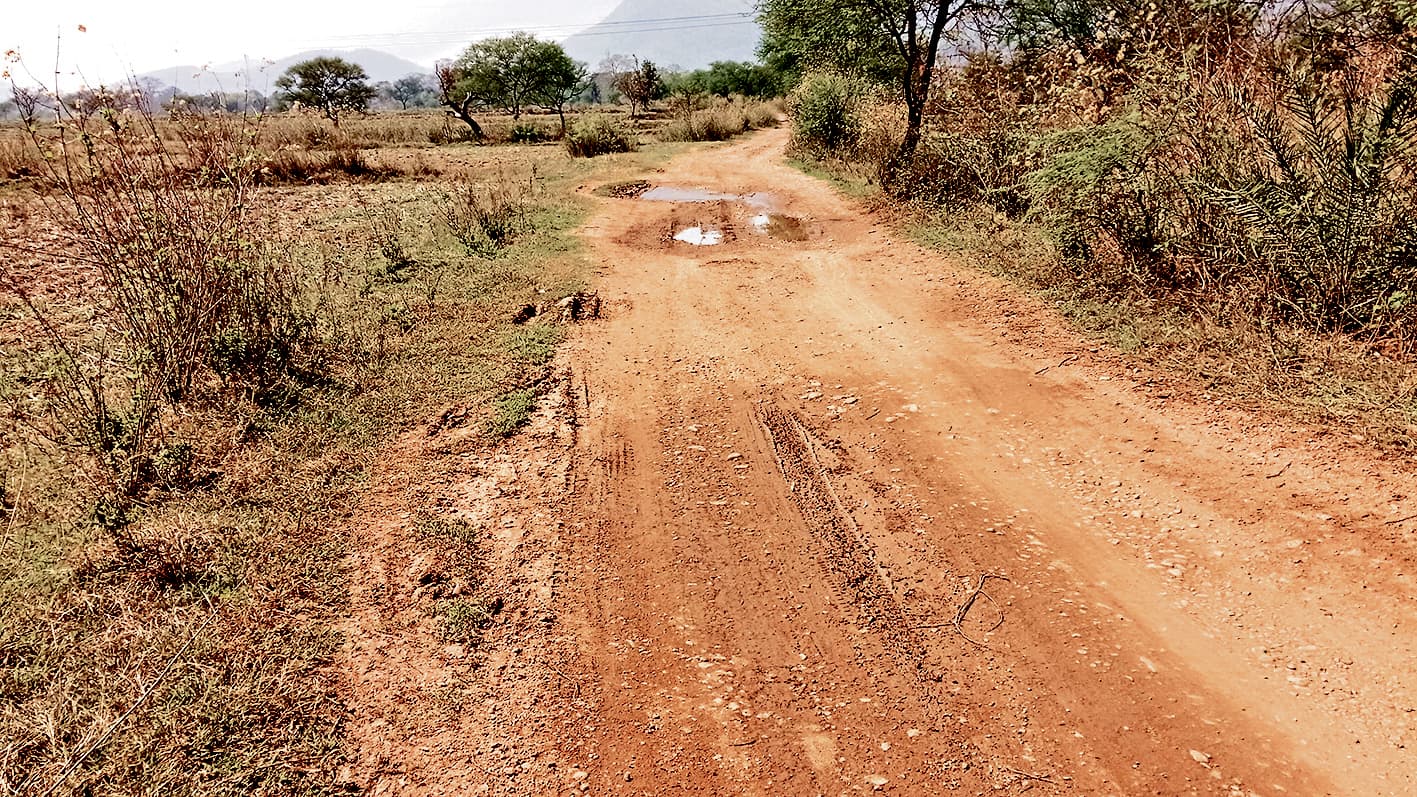 seraikela kharsawan news: गड्ढों में खोयी सड़क, धूल व कीचड़ में अटका सफर