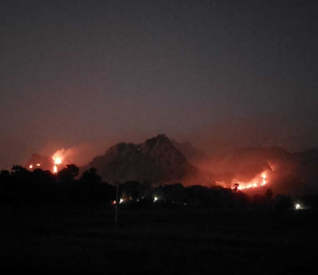 त्रिकुट पहाड़ पर लगी भीषण आग, सैकड़ों पेड़-पौधे जले