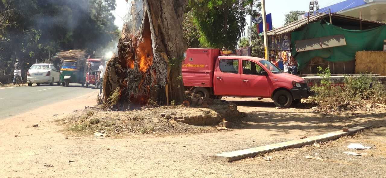 पीपल के पेड़ में लगी आग, दमकल के सहयोग से आग पर पाया गया काबू