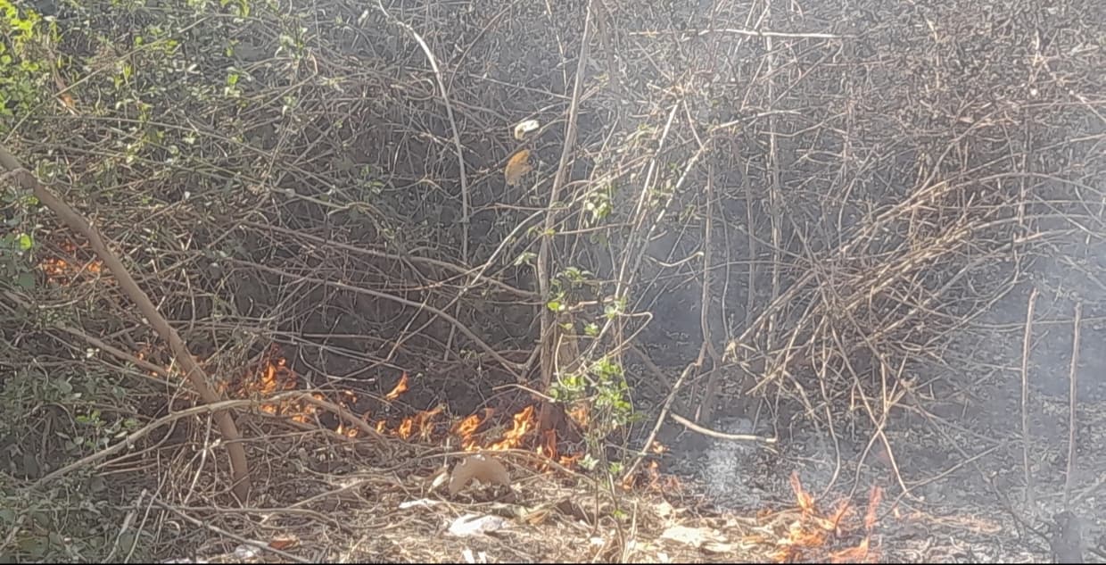 झाड़ियों में लगी आग से किसानों में मची अफरा-तफरी