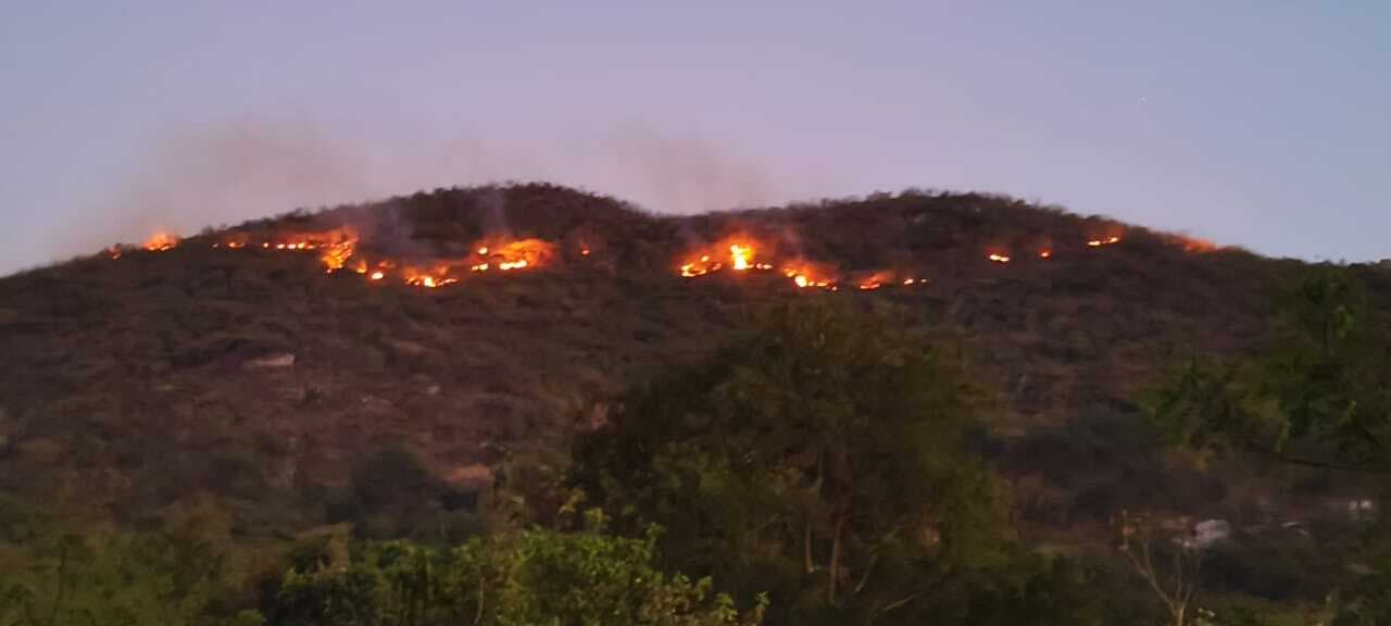 पहाड़ पर लगी पेड़ में आग, किया विकराल रूप धारण