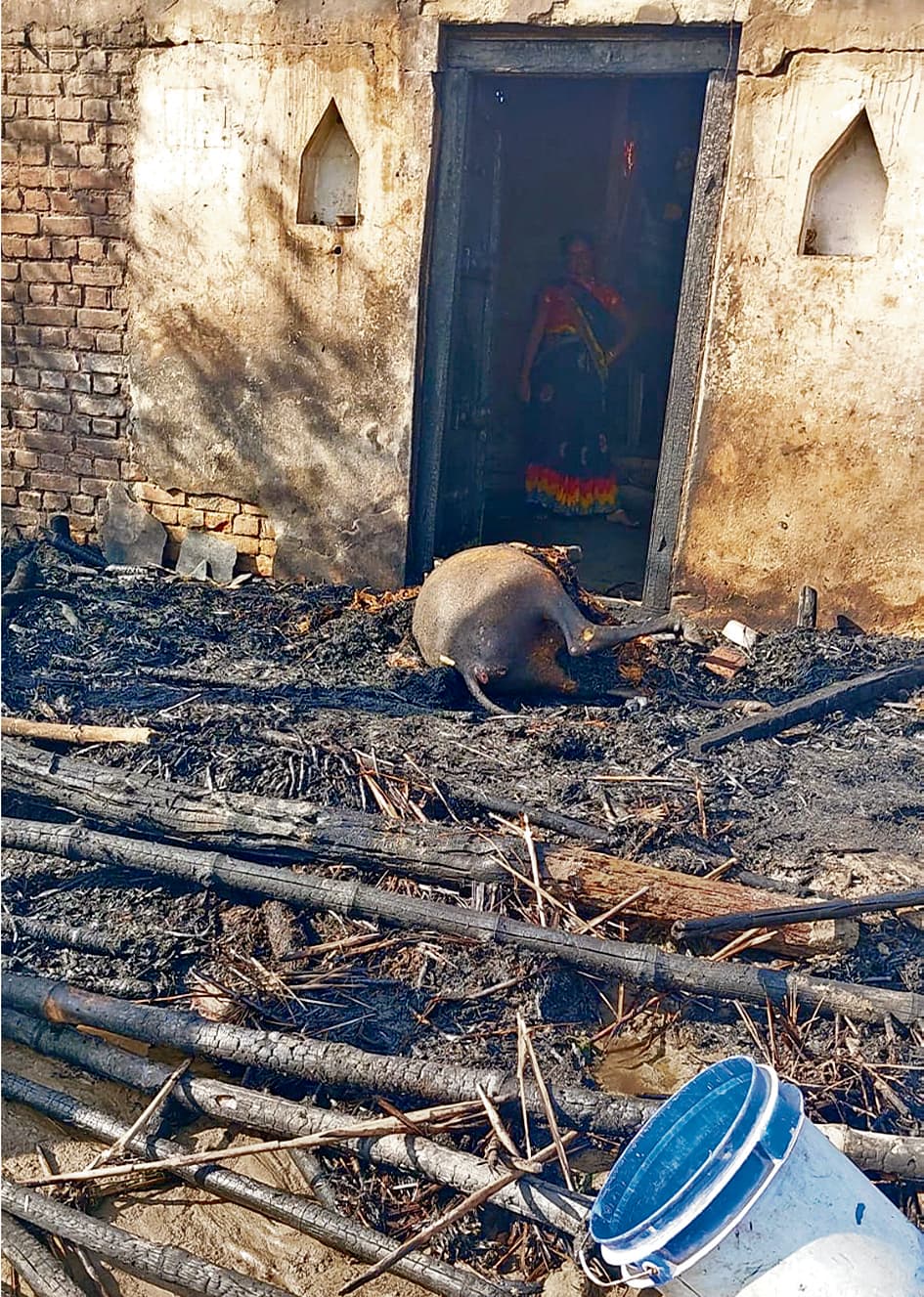 Aurangabad news. गोशाला में अचानक लगी आग