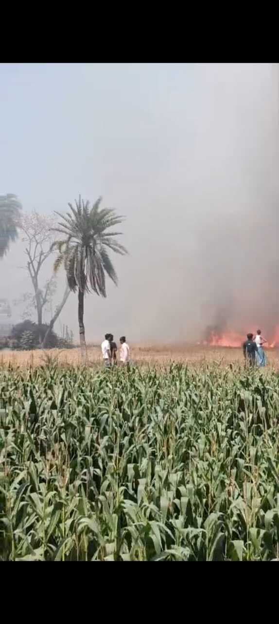 Samastipur News:दो घर समेत पांच एकड़ में लगी गेहूं की फसल जल कर राख