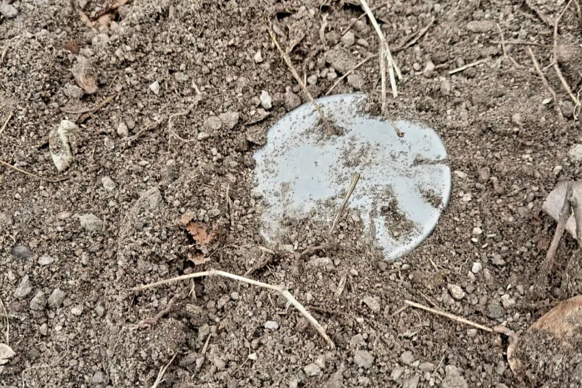 Video: बिहार में 8 शक्तिशाली IED और एक हाई-एक्सप्लोसिव बम बरामद, नक्सलियों की बड़ी साजिश नाकाम