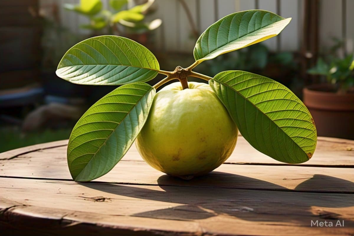 Hair Growth Tips: इस फल का पत्ता है चमत्कारी, करेगा आपके बालों को लम्बा, घना और काला 